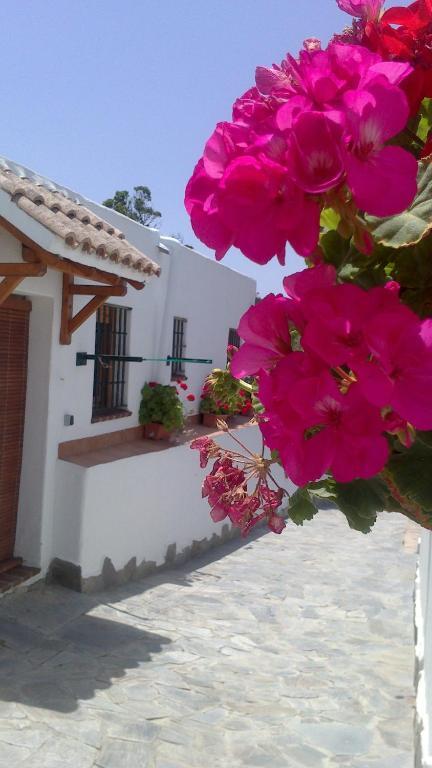 Casas El Molino Vejer de la Frontera Quarto foto